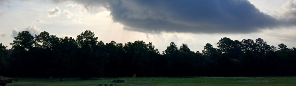 Profile Hero Background