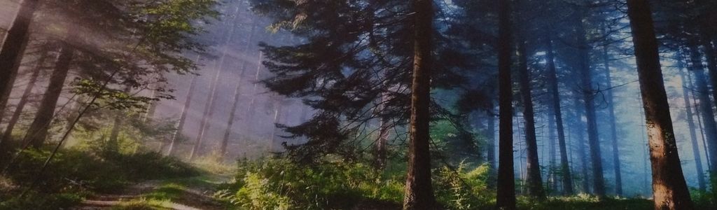 Profile Hero Background