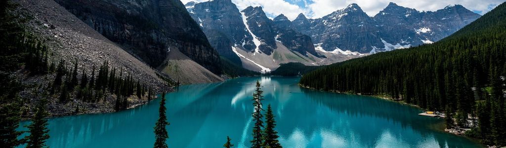 Profile Hero Background