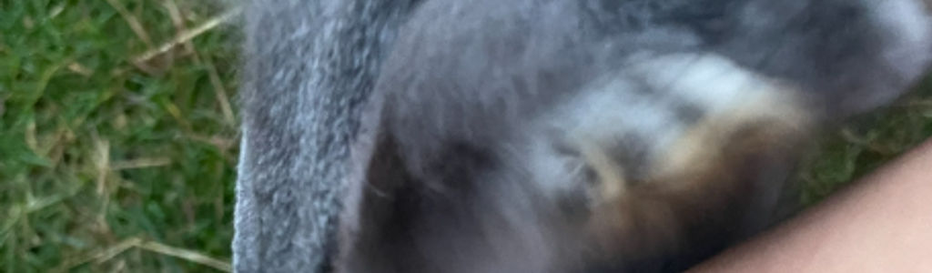 Profile Hero Background