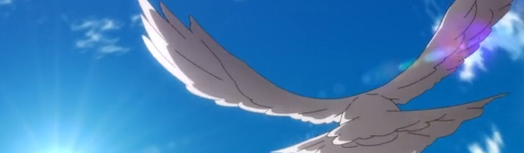 Profile Hero Background