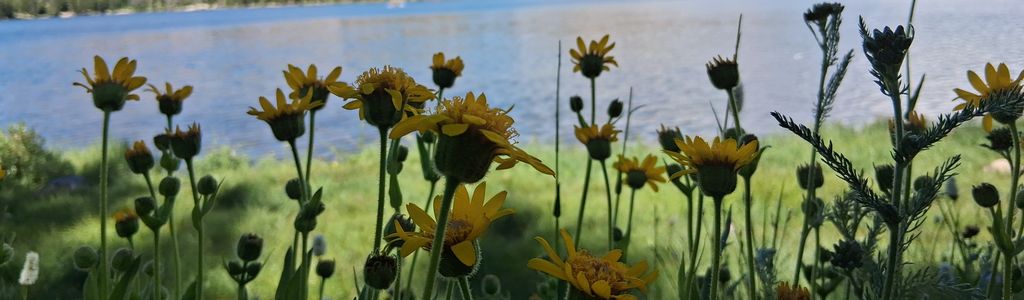 Profile Hero Background