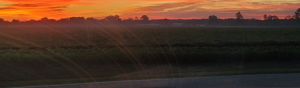 Profile Hero Background