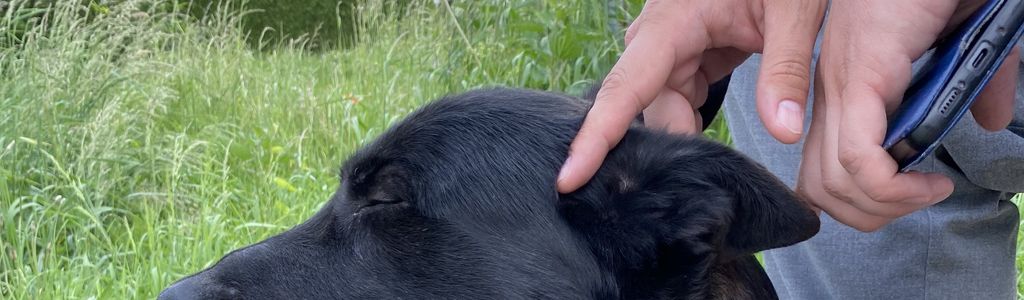 Profile Hero Background