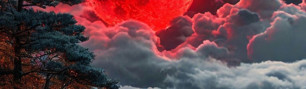 Profile Hero Background