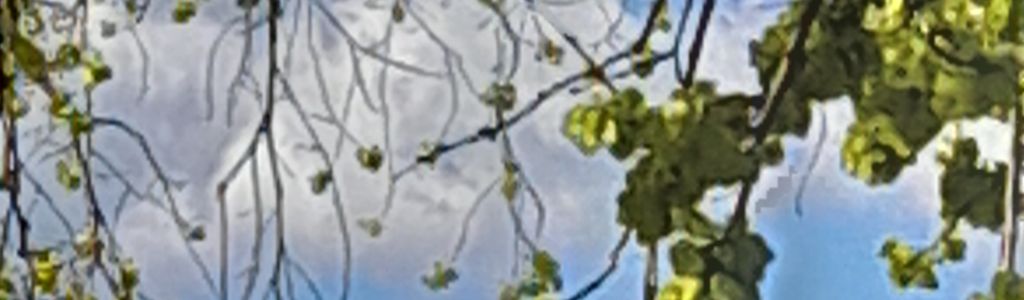 Profile Hero Background