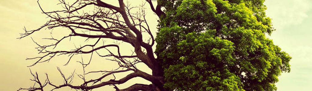 Profile Hero Background