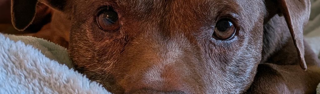 Profile Hero Background