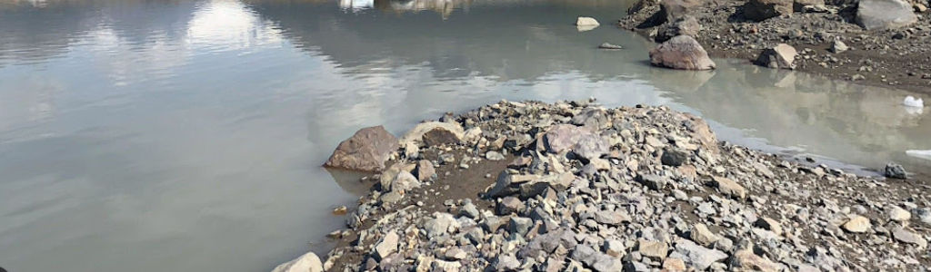 Profile Hero Background