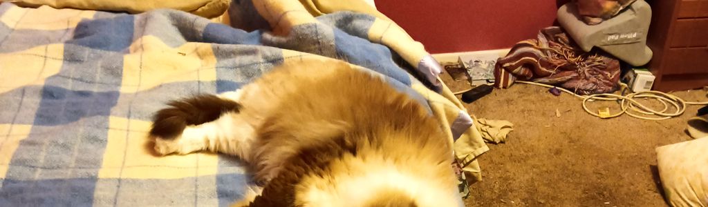 Profile Hero Background