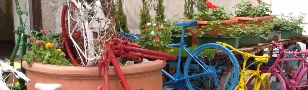 Profile Hero Background