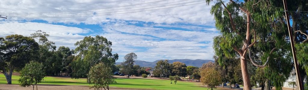 Profile Hero Background