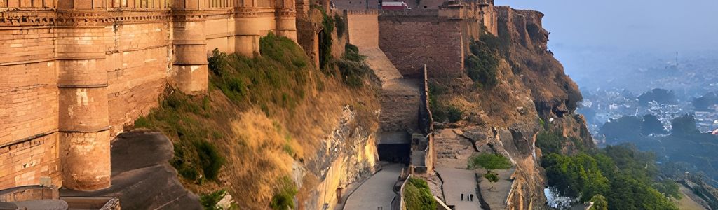 Profile Hero Background