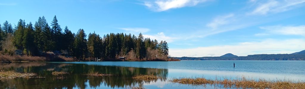 Profile Hero Background