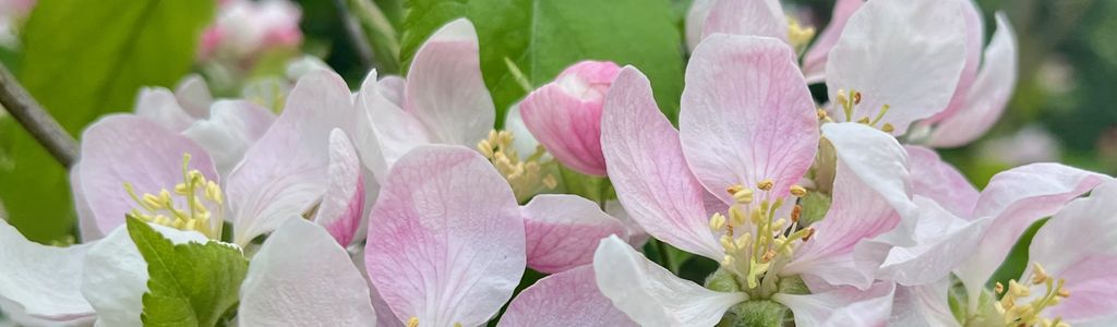 Profile Hero Background