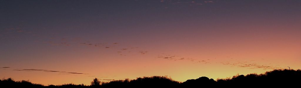 Profile Hero Background