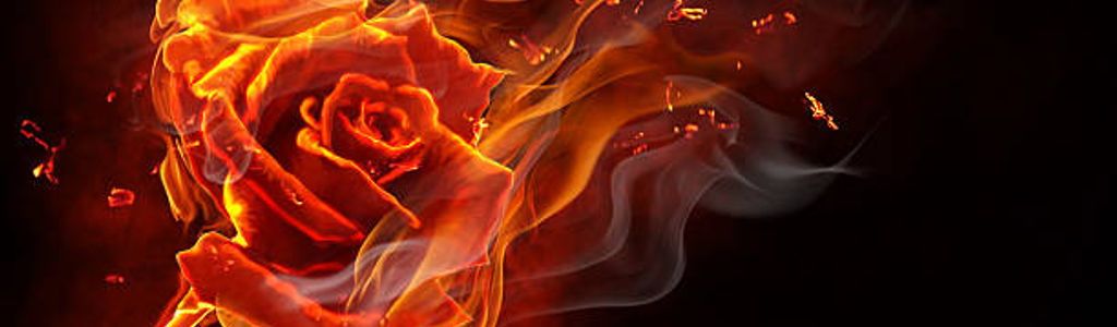 Profile Hero Background