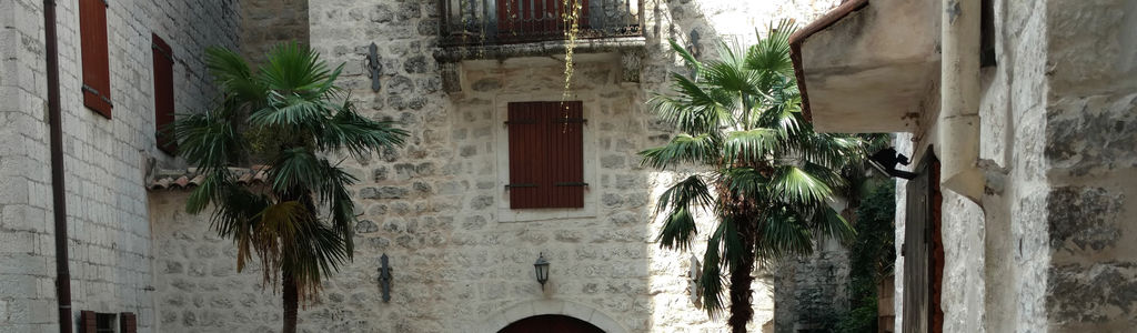 Profile Hero Background