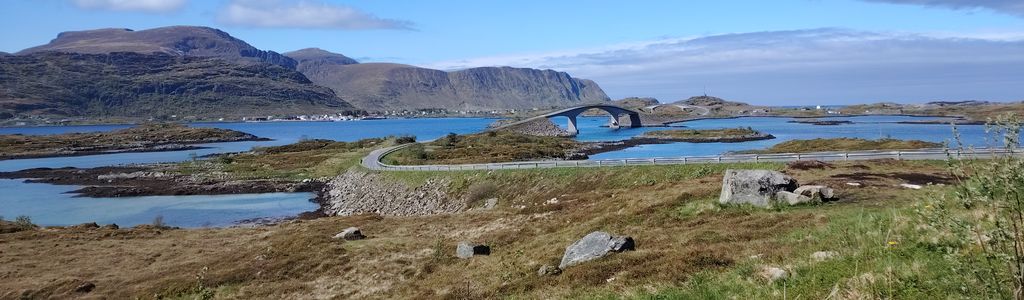 Profile Hero Background