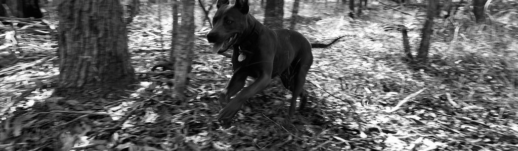 Profile Hero Background