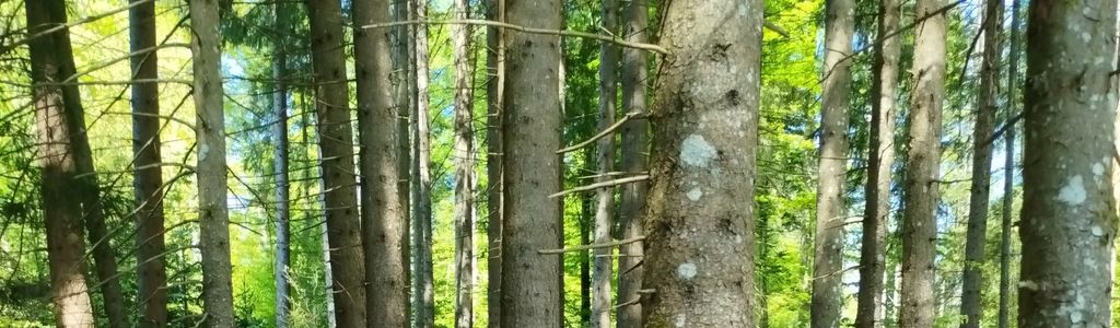 Profile Hero Background