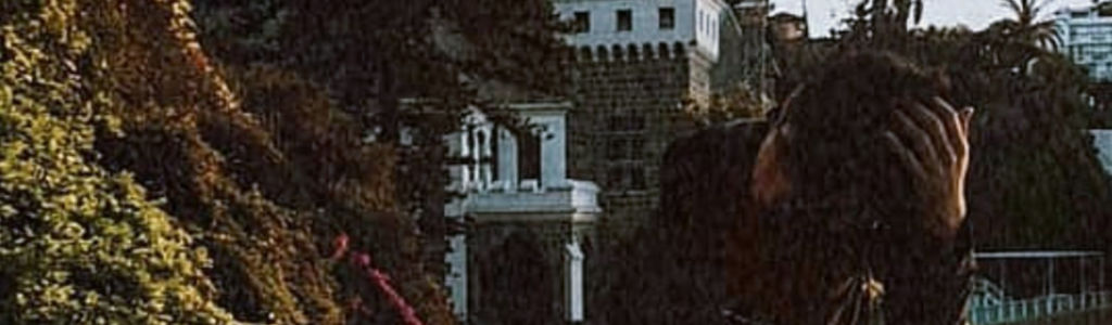 Profile Hero Background