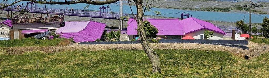 Profile Hero Background