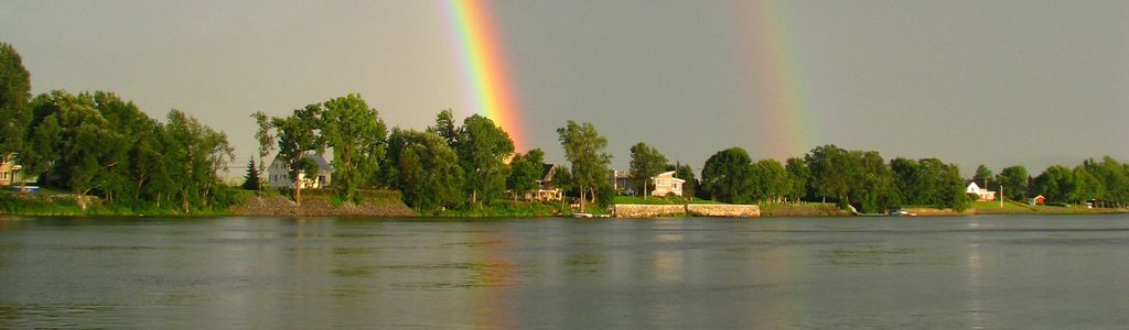 Profile Hero Background