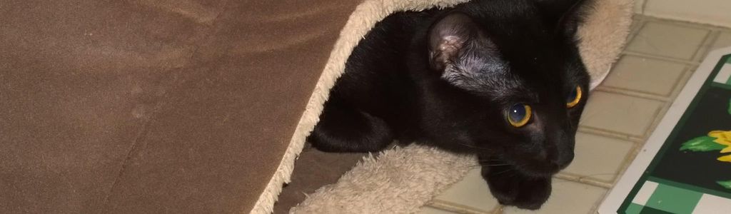 Profile Hero Background