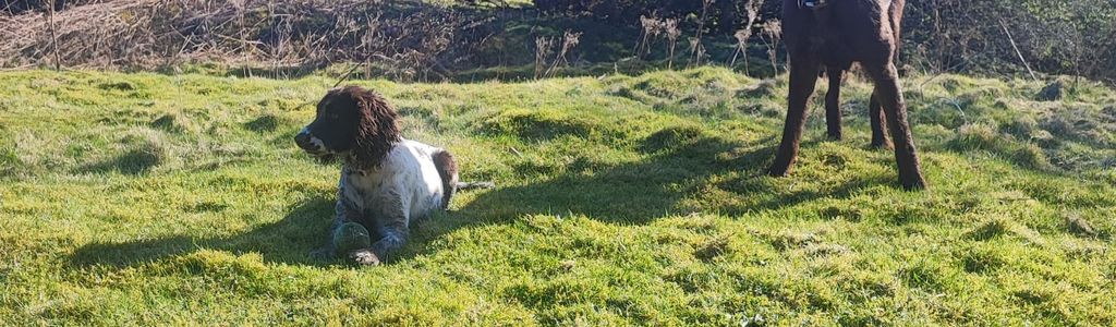 Profile Hero Background