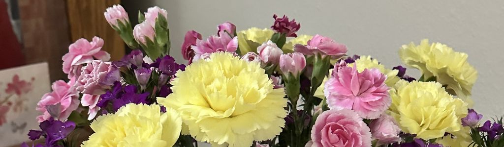 Profile Hero Background