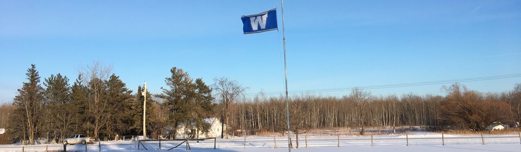 Profile Hero Background