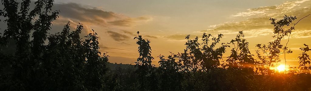 Profile Hero Background