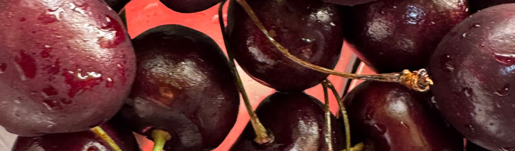 Profile Hero Background