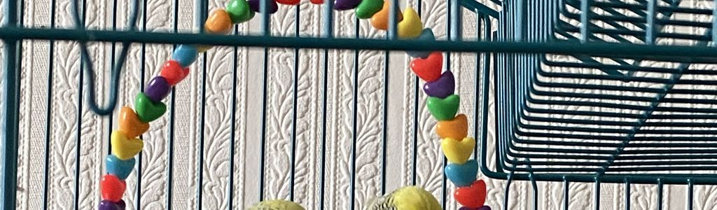 Profile Hero Background