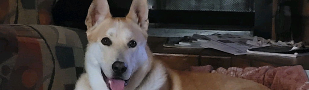 Profile Hero Background