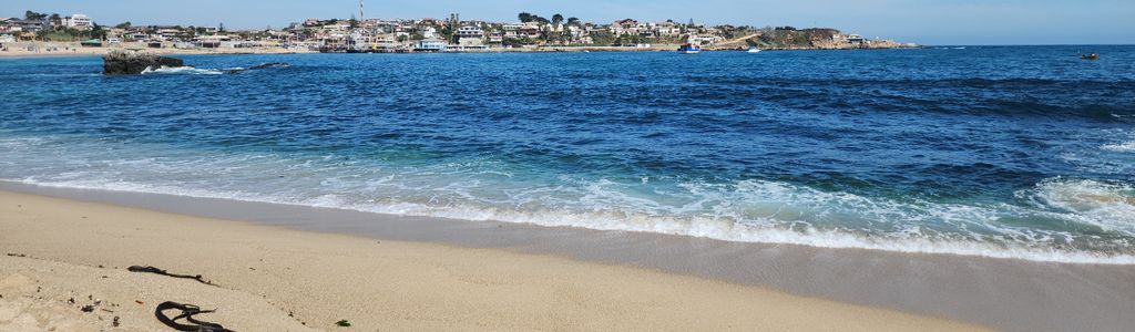 Profile Hero Background