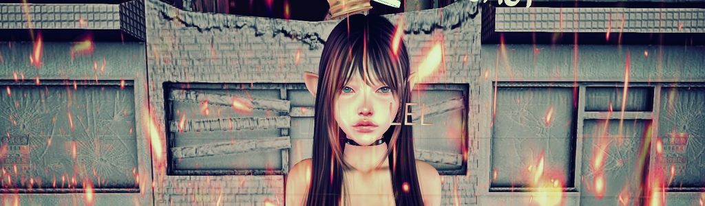 Profile Hero Background