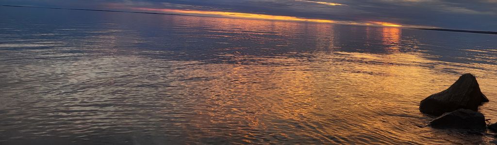 Profile Hero Background