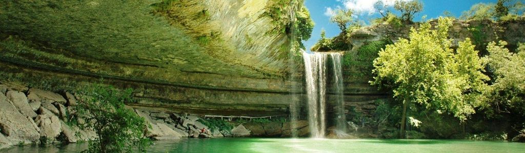 Profile Hero Background