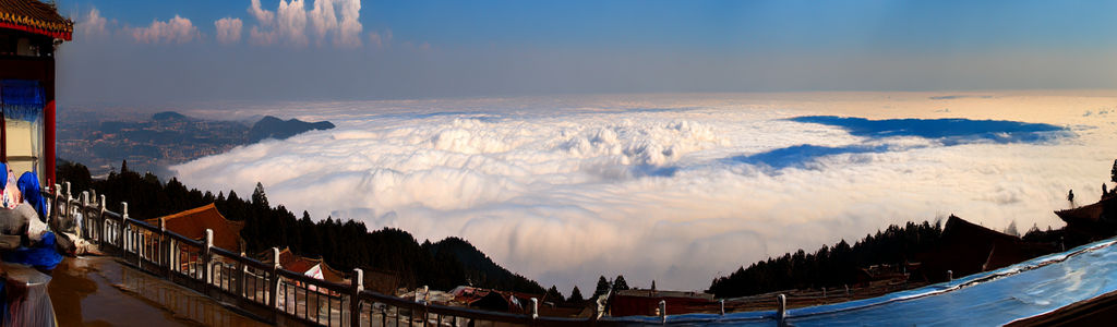 Profile Hero Background