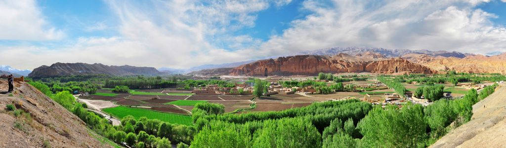 Profile Hero Background