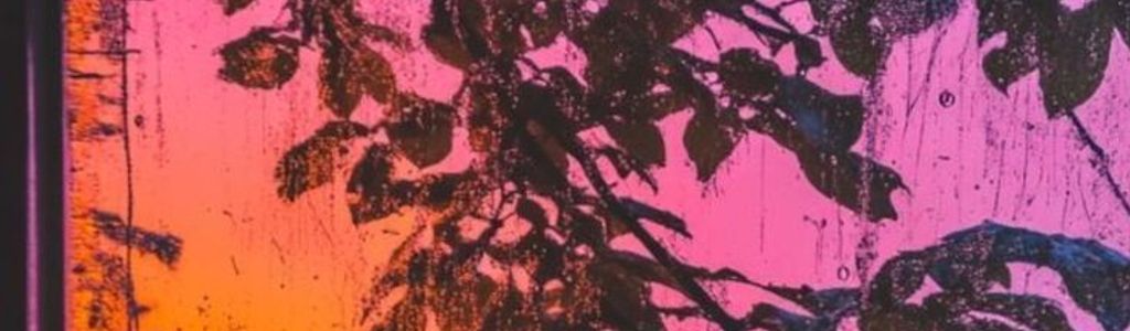 Profile Hero Background