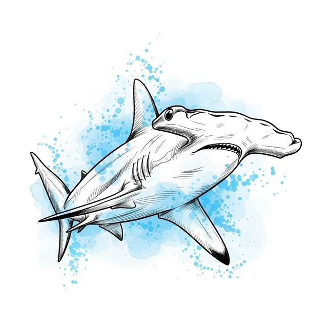 Hammerhead Shark Drawings Created with AI gallery