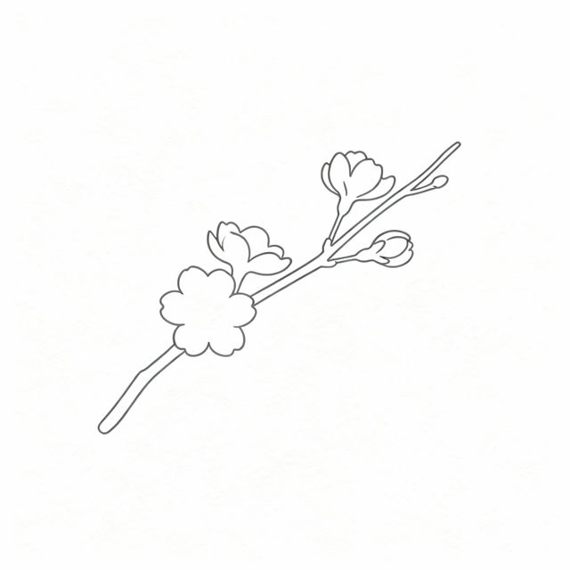 Simple Sakura Flower Drawings gallery