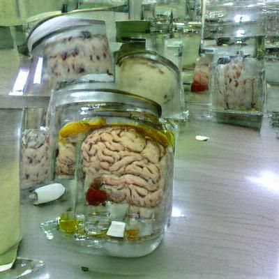 Science Fiction Laboratory Scene with a Brain in a Jar