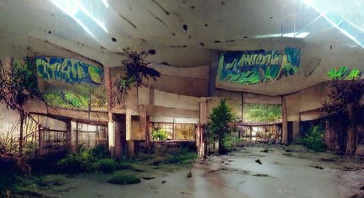 inside a long-abandoned mall after people have been extinct ...