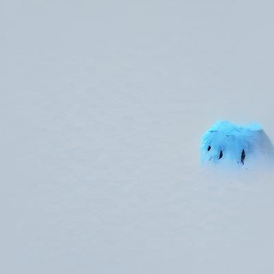 Mysterious Yeti in Simple Wilderness Setting