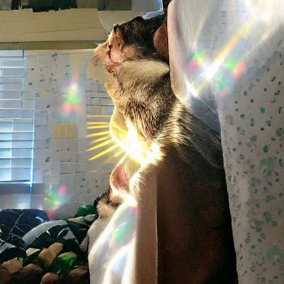 Ethereal Goddess Gazing Through Golden Light