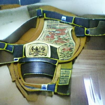 Wrestling Championship Belt Digital Art